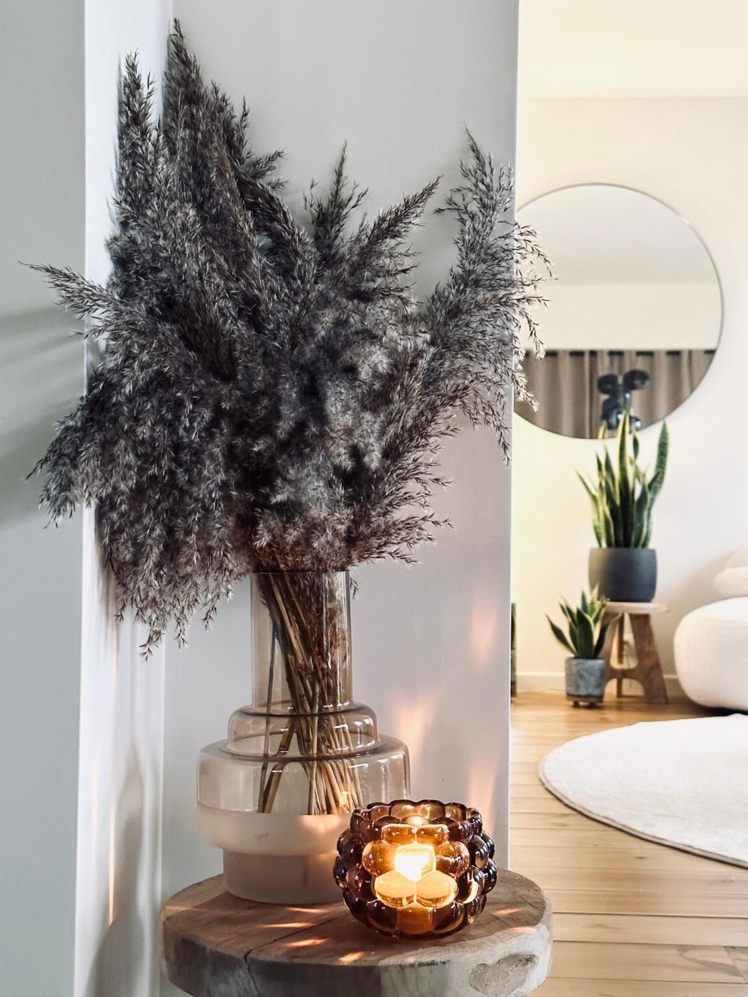 Villa O Wood & Chic Cucq Dış mekan fotoğraf